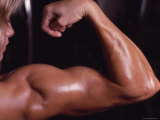 Buy Female Body Builder at AllPosters.com