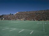 Crowd Watching Football