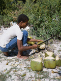 Cutting Coconuts, Barbuda