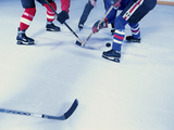 Group of People at An Ice Hockey Game