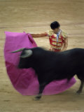 Buy Bullfight Spain at AllPosters.com