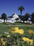 Conservatory of Flowers, Golden Gate Park, San Francisco, California, USA