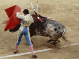 Buy Bullfighting, Plaza de Toros, Ronda, Andalusia, Spain at AllPosters.com