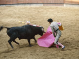Buy Bullfighting, Plaza de Toros, Ronda, Andalusia, Spain at AllPosters.com