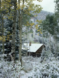 Buy Rustic Cabin in Snow Scene at AllPosters.com