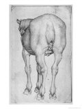 Buy Horse at AllPosters.com