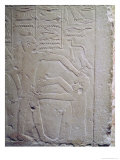 Scene of Circumcision, from the Mastaba of Ankh-Ma-Hor 