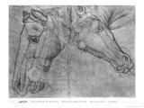 Buy Heads of Horses at AllPosters.com