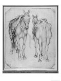 Buy Two Horses at AllPosters.com