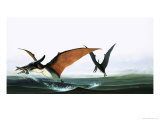 Buy Pteranodon Catching a Fish at AllPosters.com