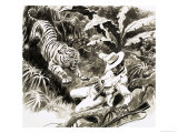 Tiger Attacking Hunter