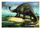 Apatosaurus