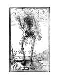 Buy Vascular System of the Body at AllPosters.com