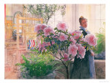 Buy Azalea, 1906 at AllPosters.com