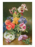Buy Roses, Poppy and Pelargonia at AllPosters.com