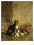 Buy Cats, 1883 at AllPosters.com