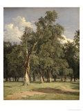 Buy Elm Trees in Prater, 1831 at AllPosters.com