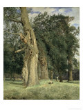 Buy Old Elms in Prater, 1831 at AllPosters.com