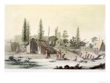 Buy New Norfolk Near Vancouver at AllPosters.com