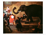 Buy Elephant Shown in Venice at AllPosters.com