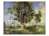 Buy The Old Ash Tree at AllPosters.com