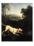 Louis XIV's Dog, Tane
