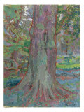 Buy Tree Trunk, 1916 at AllPosters.com