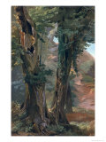 Old Elms, c.1835