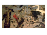 The Bird's Concert