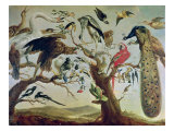 The Bird's Concert