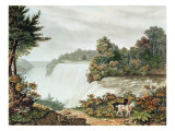 Niagara Falls, from Goat Island Niagara Falls, from Goat Island