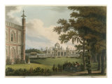 Buy Citrus Garden, from Hesperides at AllPosters.com