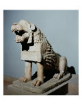 Buy Lion at AllPosters.com