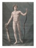 Apollo, the Ideal Anatomy