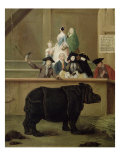 Buy The Rhinoceros, 1751 at AllPosters.com