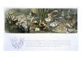 Buy Water-Lilies and Water Fairies at AllPosters.com