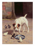 Buy Confrontation at AllPosters.com
