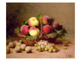 Buy Still Life of Fruit at AllPosters.com