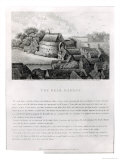 Buy Bear Garden, 1647 at AllPosters.com