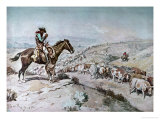 Buy Cattle Drive, 1898 at AllPosters.com