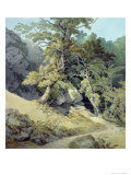 Buy Canonteign, Devon at AllPosters.com