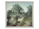 Buy View Near Cantonteign, Devon at AllPosters.com