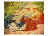 Cats, 1909-10