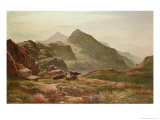 Highland Scene