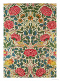 Rose, 1883