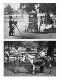Buy Photography on the Common and Waiting For Hire, 1876-77 at AllPosters.com