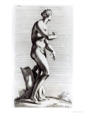 Buy Venus Aphrodite, c.1653 at AllPosters.com