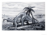 Brontosaurus, 1970