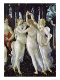 Primavera, c.1478