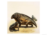 Moschops